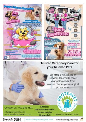 Brackie Guide Ebooklet - August 2026 (3)